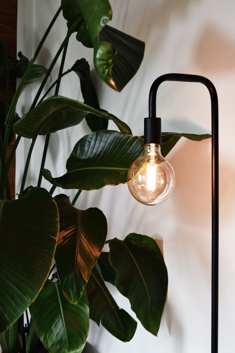 Vloerlamp U-LINE - Zwart metaal CLX 941400