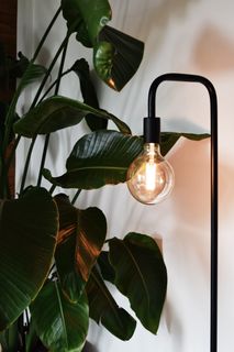 Vloerlamp U-LINE - Zwart metaal CLX 941400