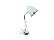 Mintgroene retro knijplamp met flexibele zwanenhals.