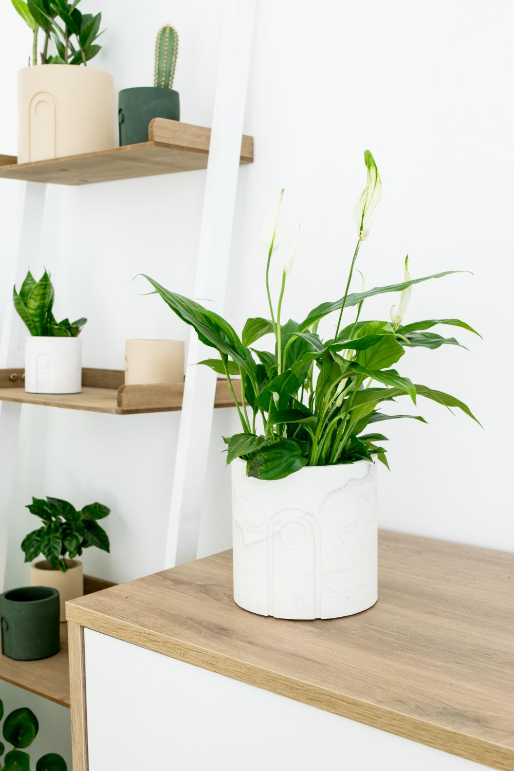 Plantenpot Ø12 cm JANE - Sandy Beige BOU DD0114