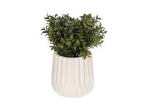 Kunstplant met keramische pot MILAN KAV AA7287