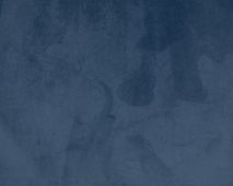 Stoel JOSEPHINE - Velvet blauw DEZ JO STIB198