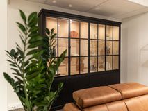 Vitrine BRIGHTON incl. led - Black matte/naturel FDF BR VIT4DLEDZW