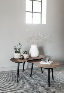 Salontafel set ORGANUS - Gerecycleerd teakhout DTP HI 301180