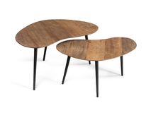 Salontafel set ORGANUS - Gerecycleerd teakhout DTP HI 301180