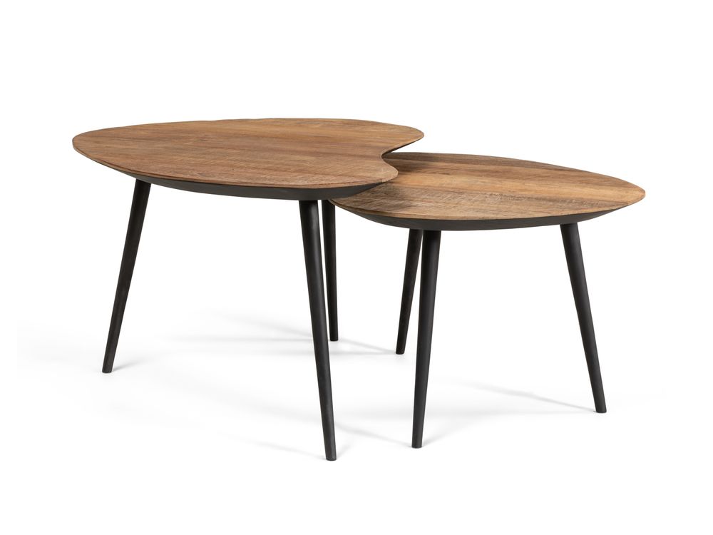 Salontafel set ORGANUS - Gerecycleerd teakhout DTP HI 301180