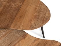 Salontafel set ORGANUS - Gerecycleerd teakhout DTP HI 301180