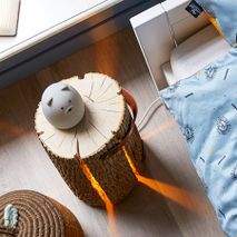 Wood Light - Hout SCE 8178