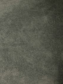 Armstoel open rug CAPRICE - Groen FDF-28-000003-O