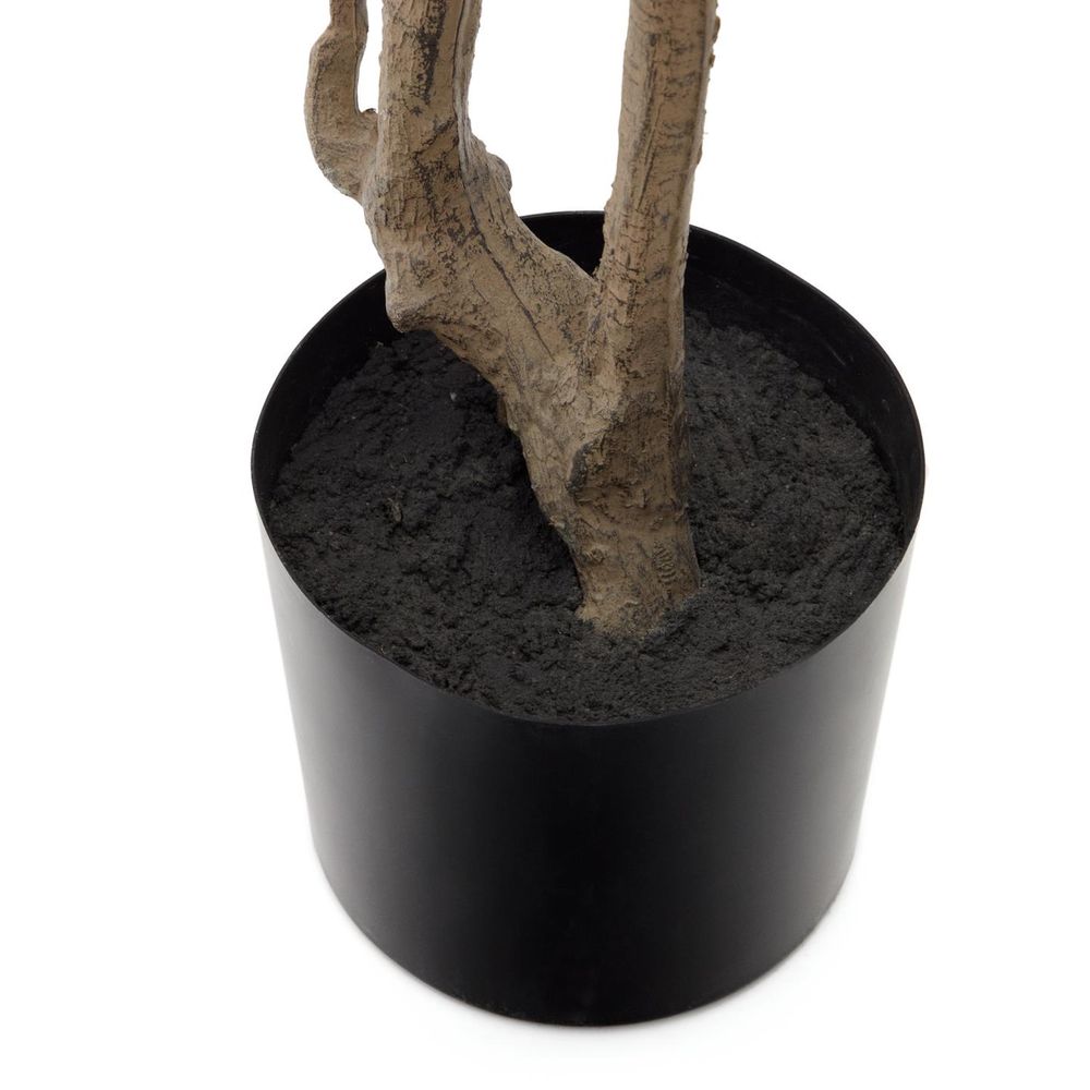 Kunstboom ENKIANTHUS KAV D1700006SS06