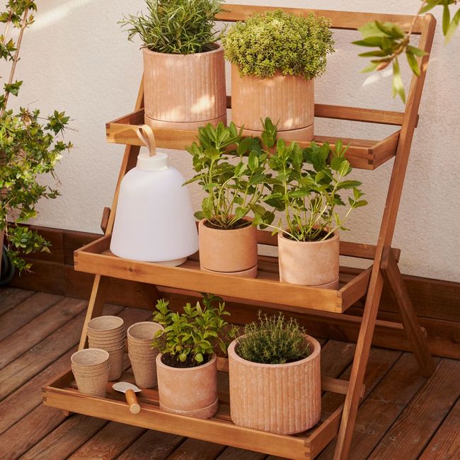 Tuinrekje VICTORA - Acaciahout