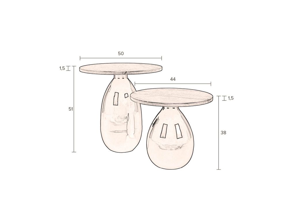 Set van 2 bijzettafels SILVINE - Acaciahout/Metaal ZVR 2300389