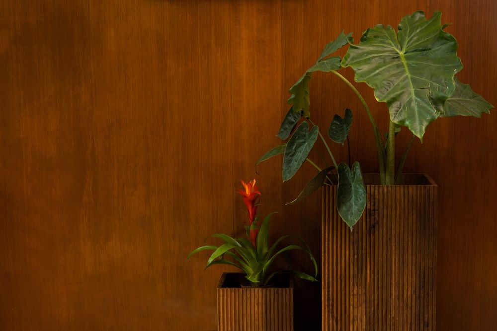 Set van 2 plantenstaanders RIBBLE - Mango ZVR 7900037