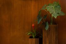 Set van 2 plantenstaanders RIBBLE - Mango ZVR 7900037