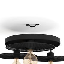 Plafondlamp IKESTON - Zwart EGL 43728