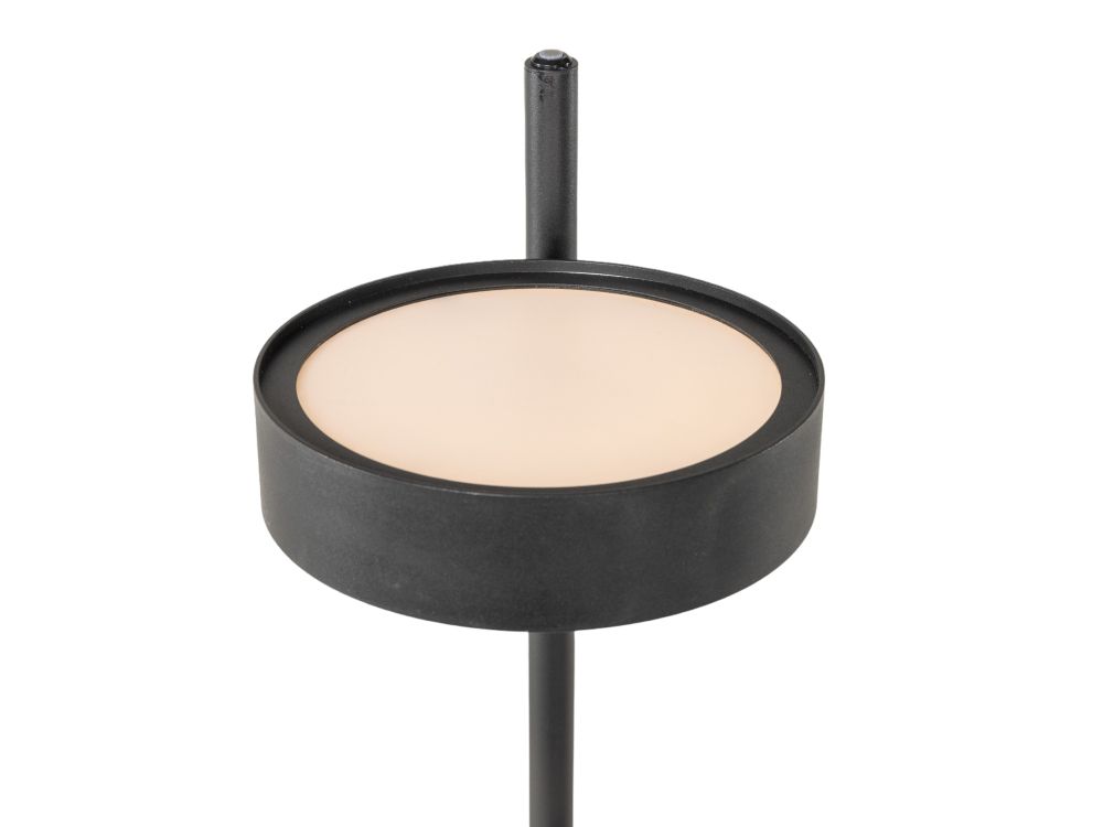 Vloerlamp PALO - Zwart FLT PALO93