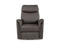 Elektrische relaxfauteuil GILBERT - Bruin leder DEZ-70-001-A-AB
