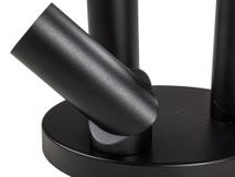 Plafondspot rond TWIST - Zwart FLT TWISTRO393