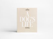 Fotoalbum A DOG'S LIFE - Beige PRT-2-002