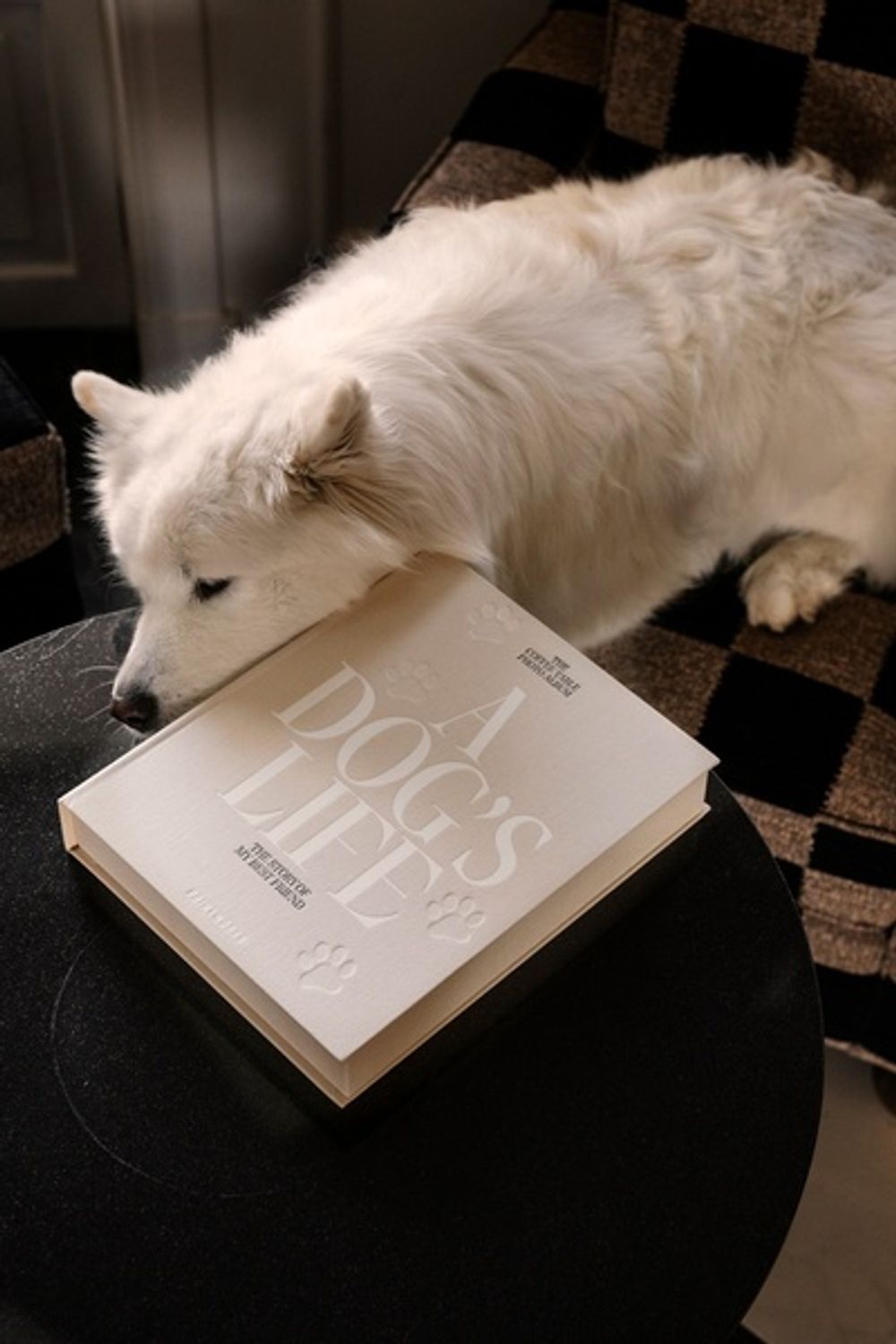 Fotoalbum A DOG'S LIFE - Beige PRT-2-002