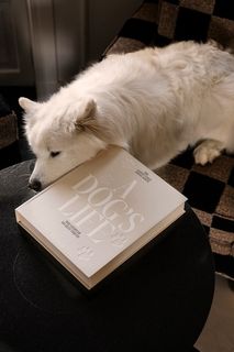 Fotoalbum A DOG'S LIFE - Beige PRT-2-002