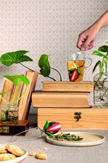 Theeklem TEA TRAP - Multicolor ABD OT929