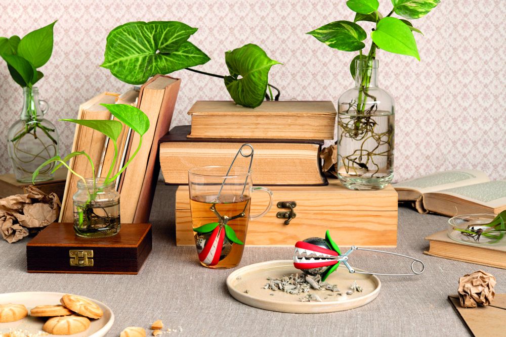 Theeklem TEA TRAP - Multicolor ABD OT929