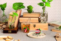 Theeklem TEA TRAP - Multicolor ABD OT929
