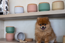 Snoepjespot voor huisdier - Foxy Terra PIN TJ0111