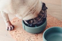 Kurken placemat voor huisdier - Bruin PIN TR0300