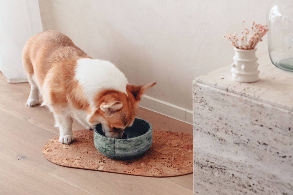 Kurken placemat voor huisdier - Bruin PIN TR0300