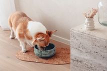 Kurken placemat voor huisdier - Bruin PIN TR0300