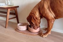 Kurken placemat voor huisdier - Bruin PIN TR0300