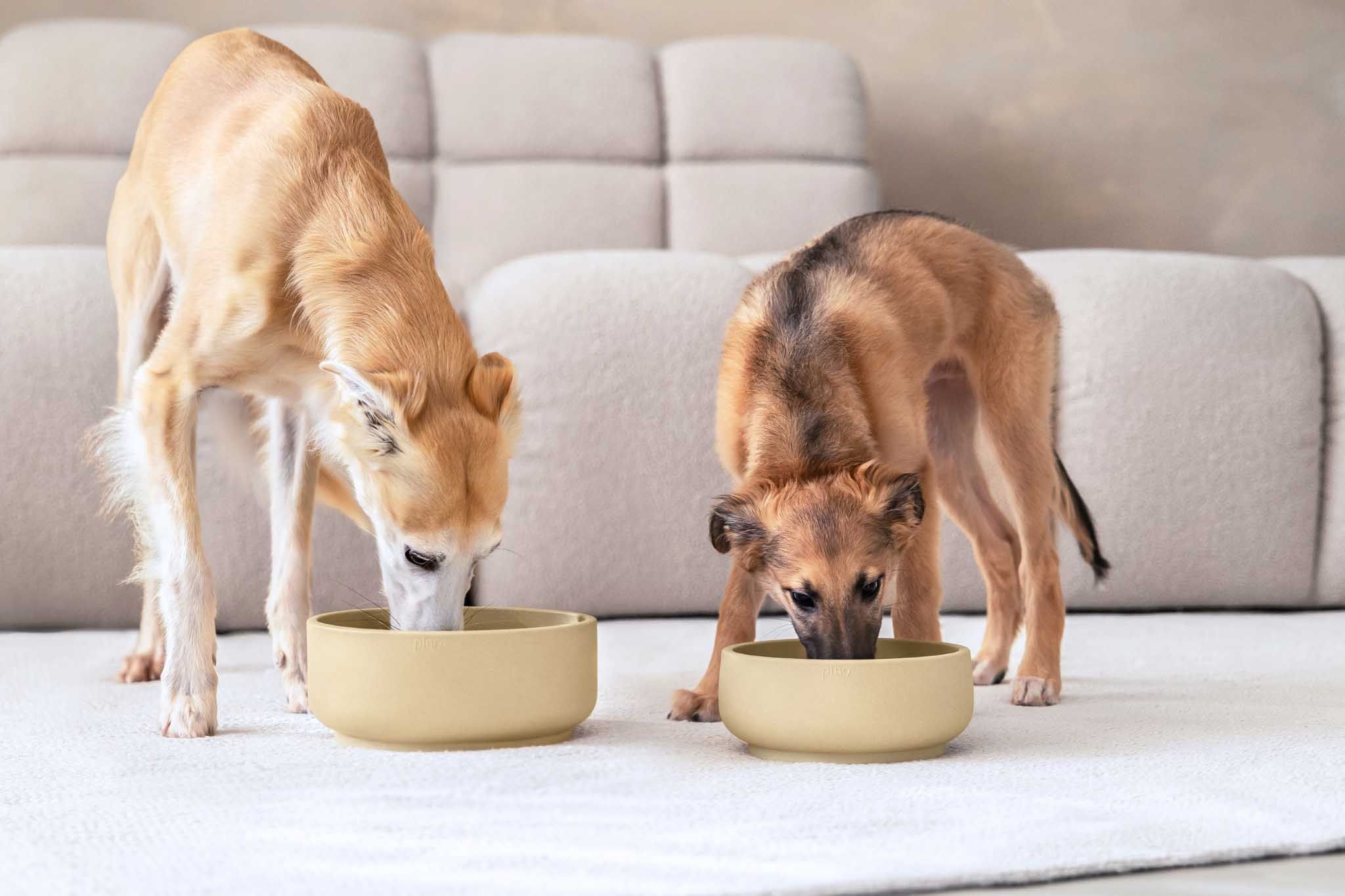 Anti-schrok voerbak hond SMALL - Dolphin Grey