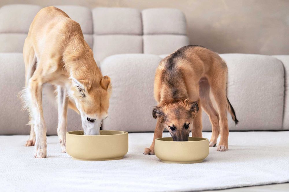 Anti-schrok voerbak hond MEDIUM - Foxy Terra PIN SF0211