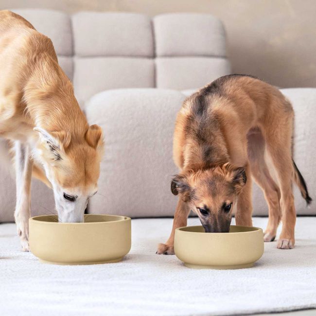 Anti-schrok voerbak hond SMALL - Dolphin Grey