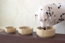 Anti-schrok voerbak hond LARGE - Dolphin Grey PIN SF0311