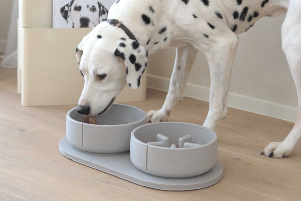 Anti-schrok voerbak hond LARGE - Camel Brown PIN SF0221