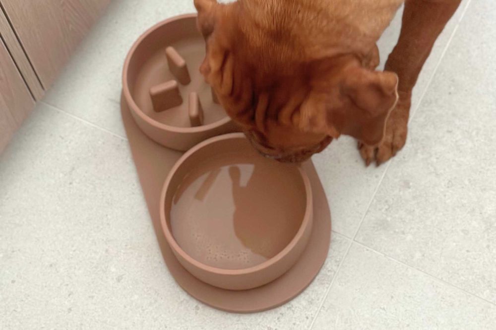 Anti-schrok voerbak hond LARGE - Dolphin Grey PIN SF0341