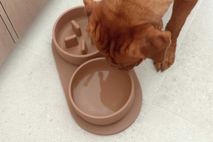 Anti-schrok voerbak hond LARGE - Dolphin Grey PIN SF0341