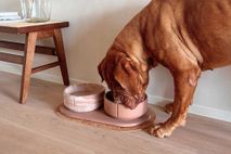 Anti-schrok voerbak hond LARGE - Dolphin Grey PIN SF0341