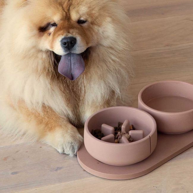 Klassieke voerbak hond MEDIUM - Camel Brown / Egaa