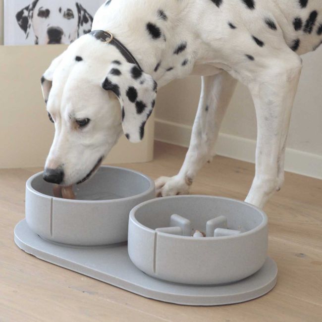 Klassieke voerbak hond LARGE - Foxy Terra / Egaal