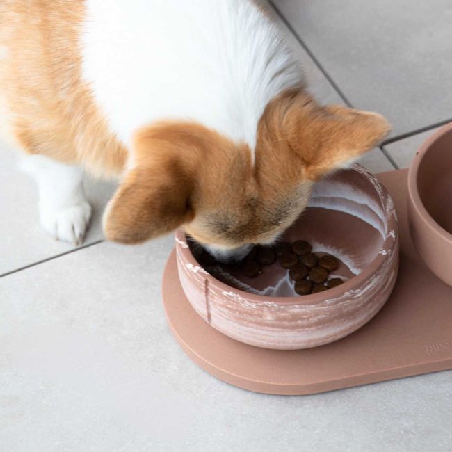 Klassieke voerbak hond LARGE - Camel Brown / Egaal