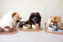 Klassieke voerbak hond MEDIUM - Camel Brown / Egaa PIN CF0221