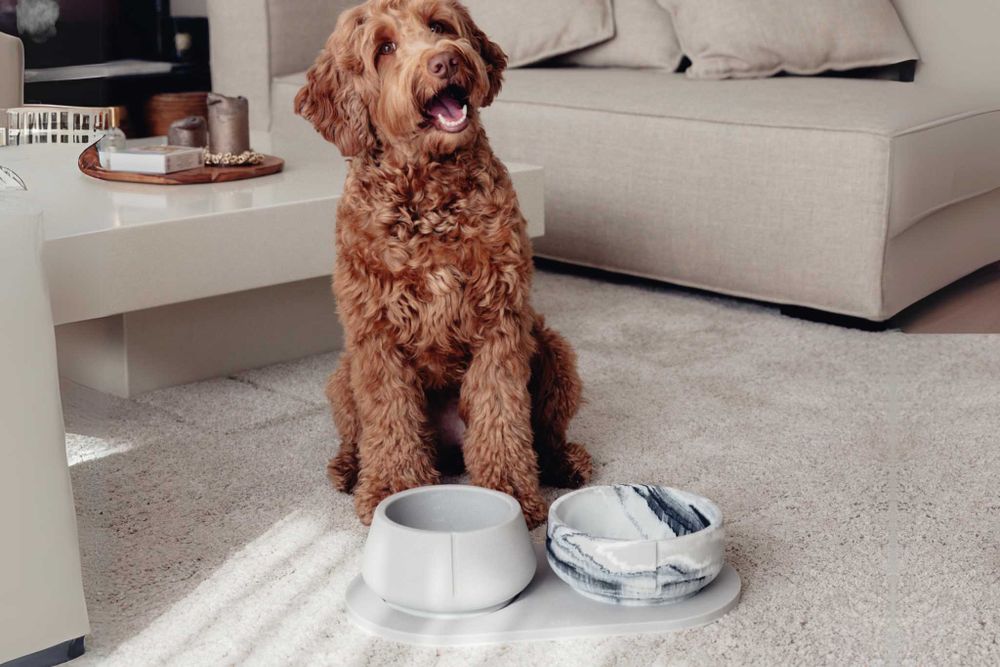 Klassieke voerbak hond LARGE - Dolphin Grey / Marm PIN CF0222