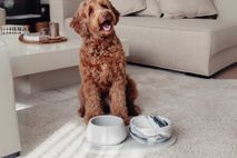 Klassieke voerbak hond LARGE - Dolphin Grey / Marm PIN CF0222