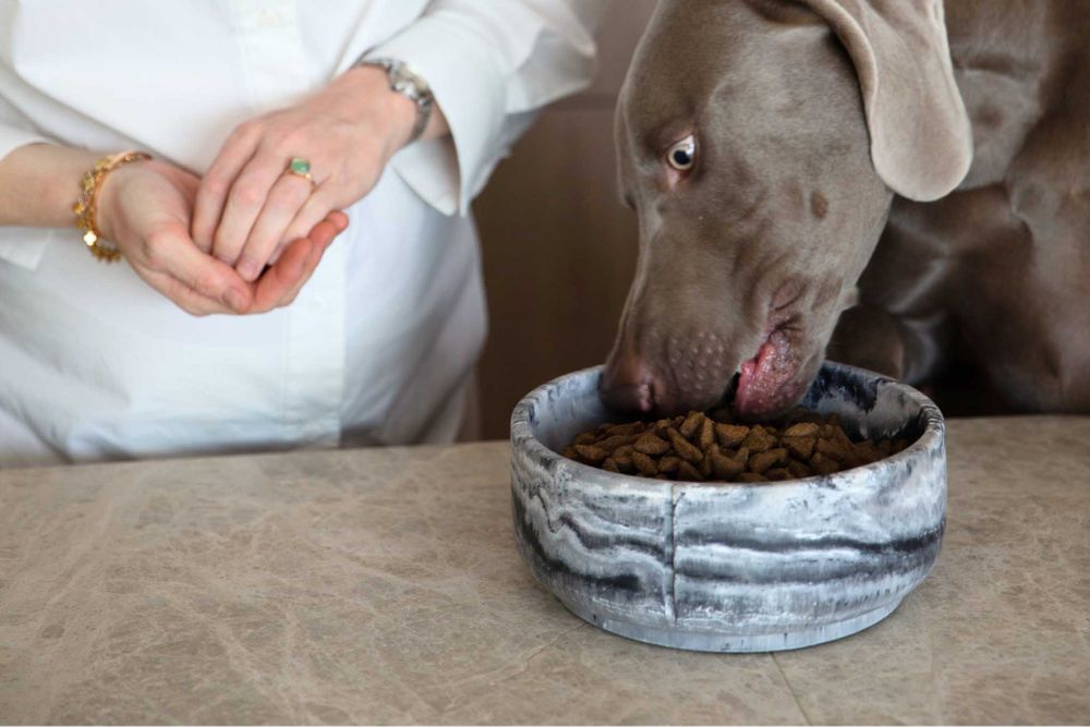 Klassieke voerbak hond LARGE - Camel Brown / Marme PIN CF0322