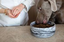 Klassieke voerbak hond LARGE - Camel Brown / Marme PIN CF0322