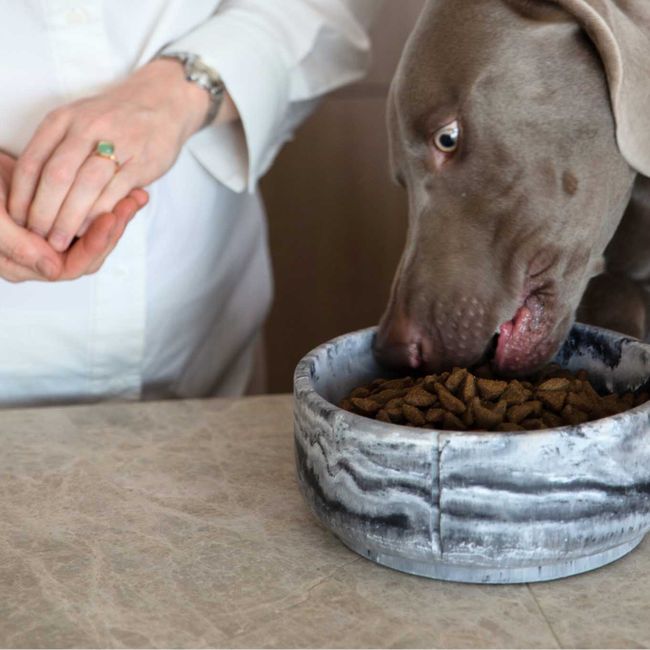Klassieke voerbak hond LARGE - Dolphin Grey / Marm